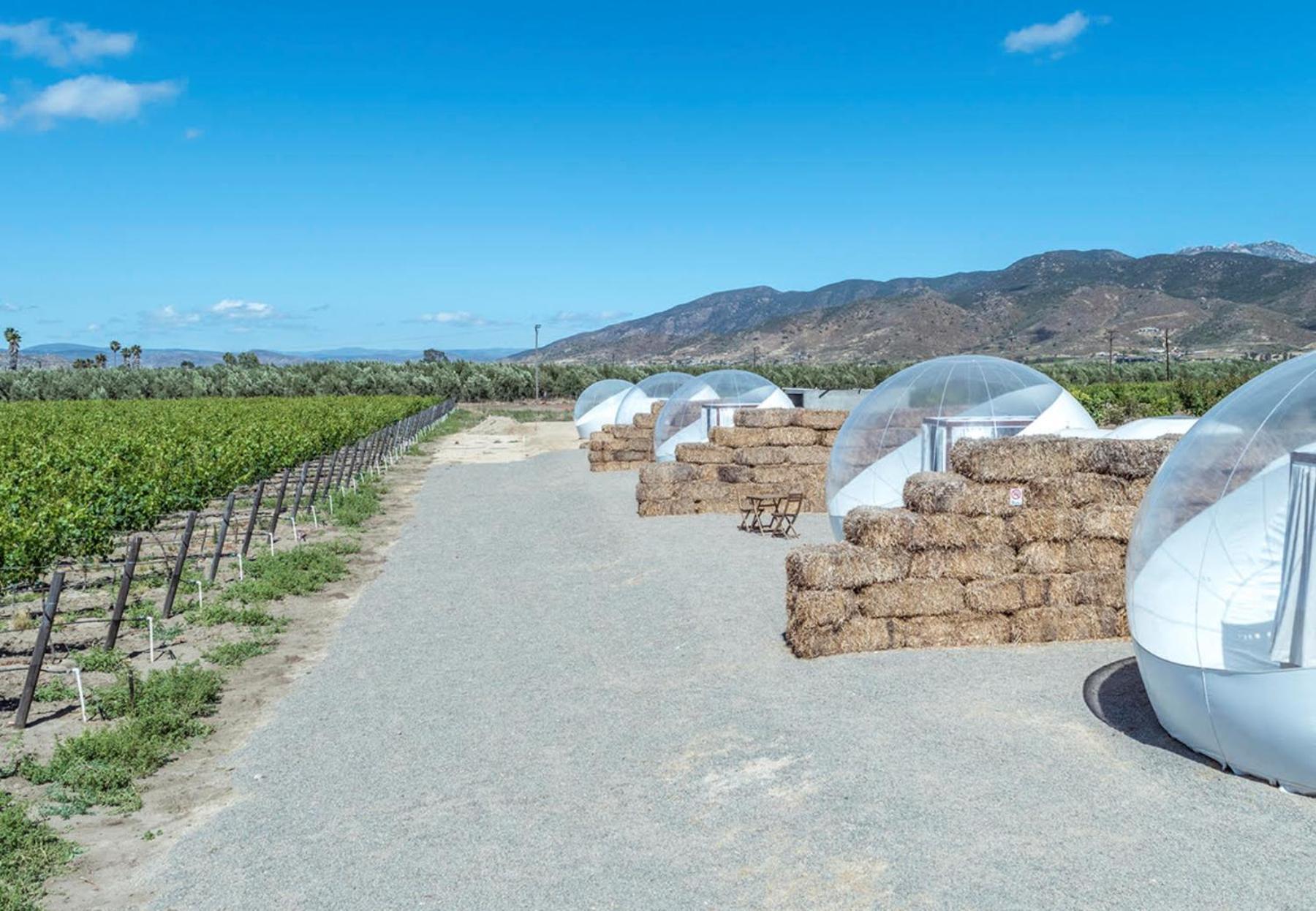 Campera Valle De Guadalupe Ensenada Exterior foto